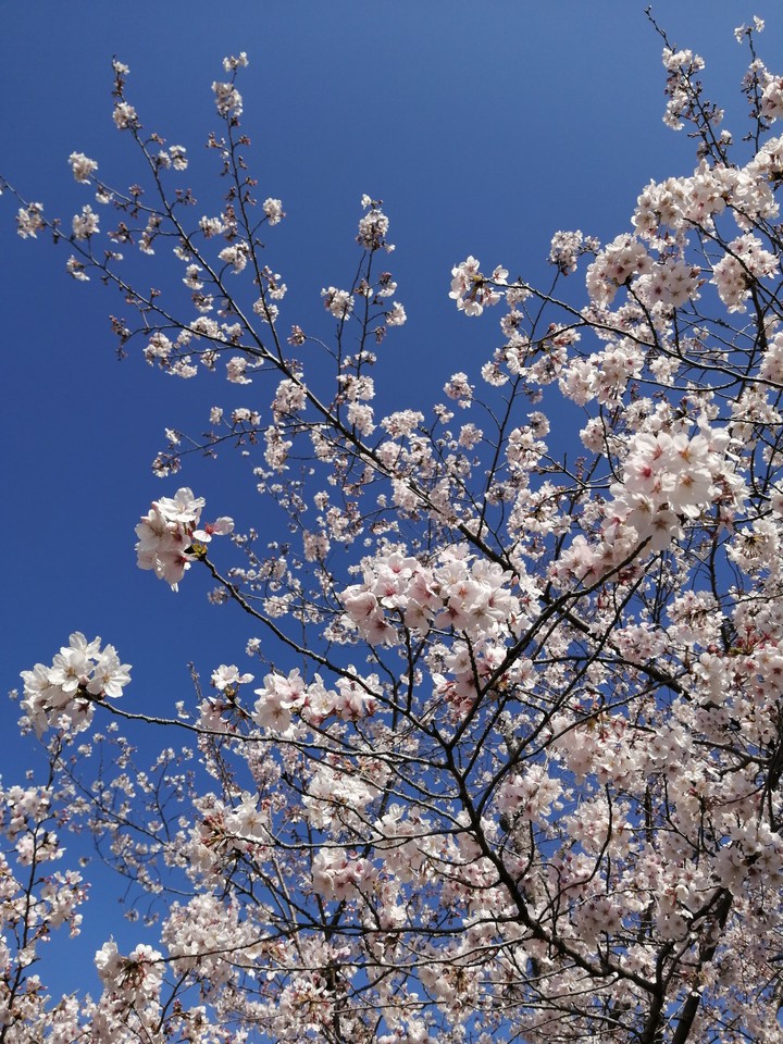 空