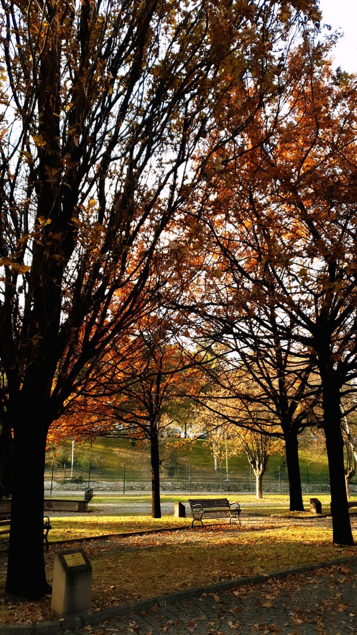 Autumn in Ankara