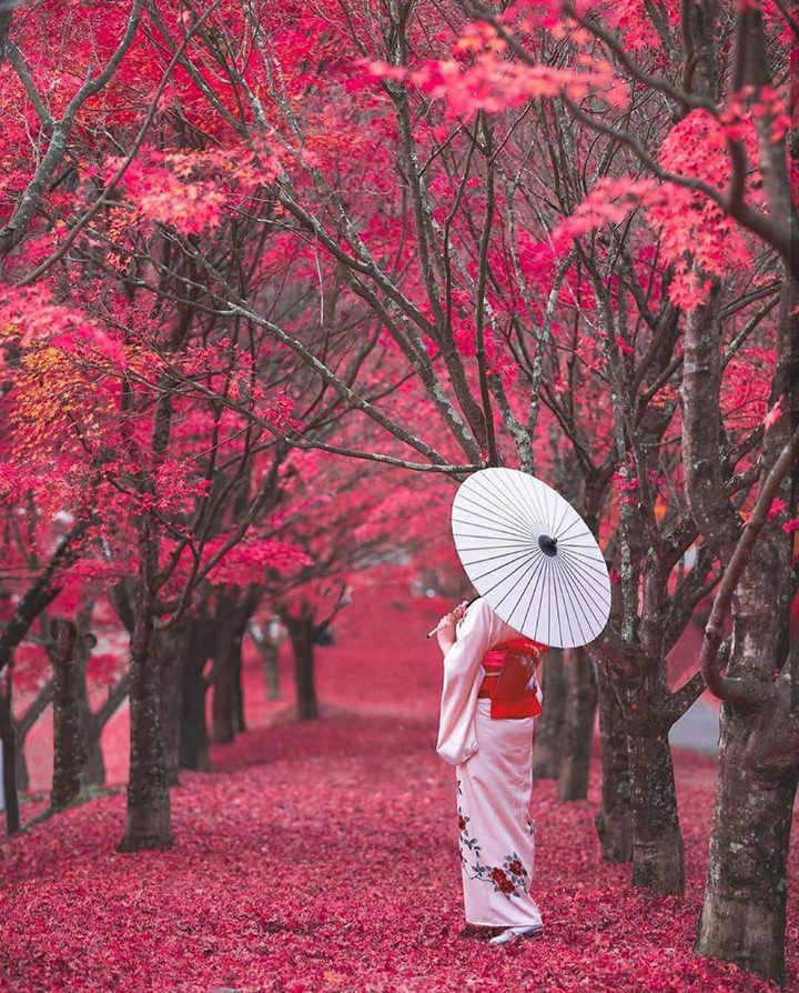 nagano perfecture.
