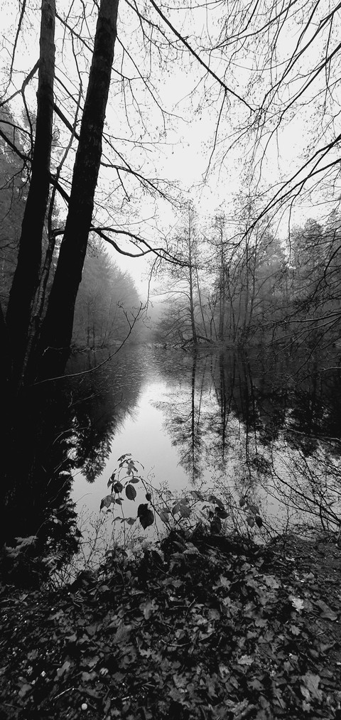 Stille