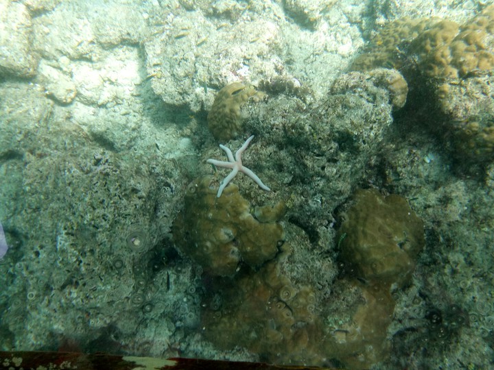 underwater