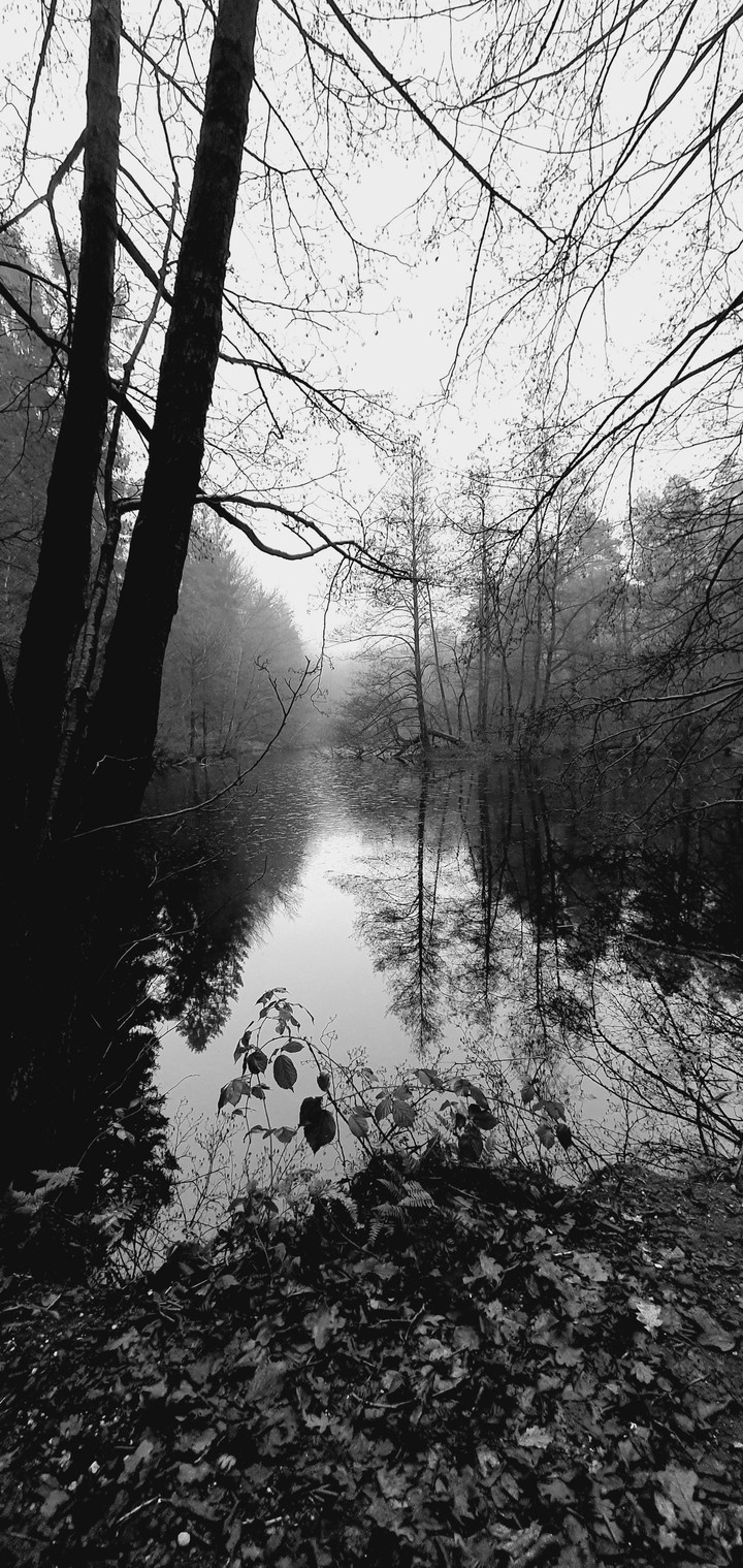 Stille