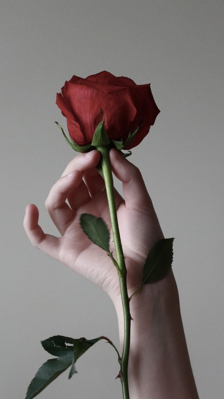 ♡♡