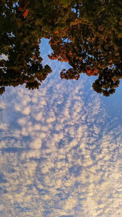 sky