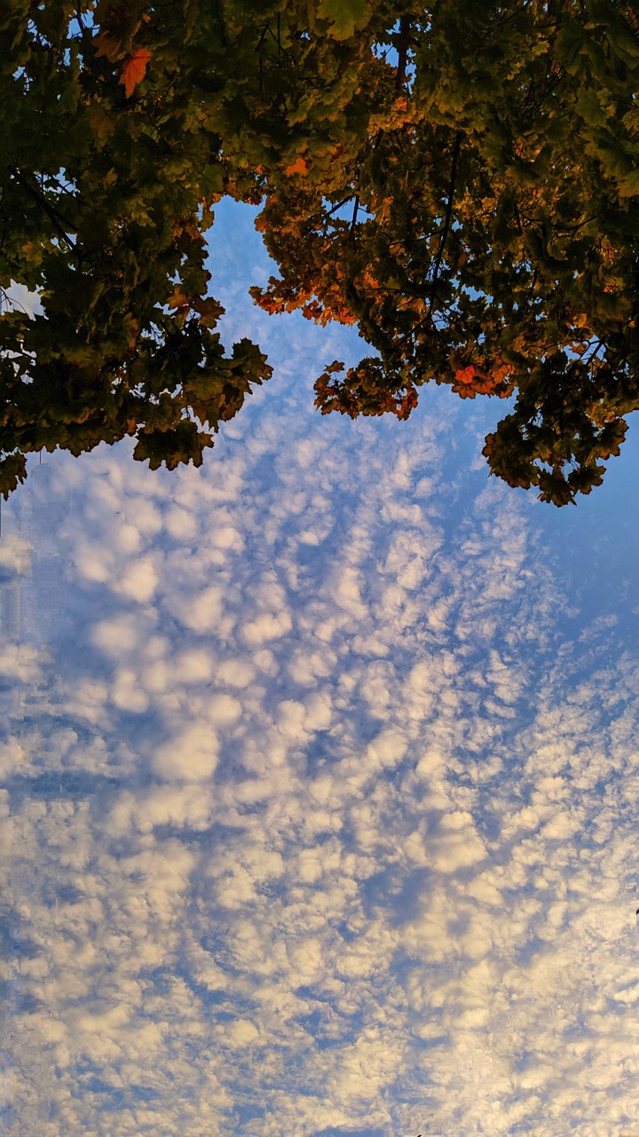 sky