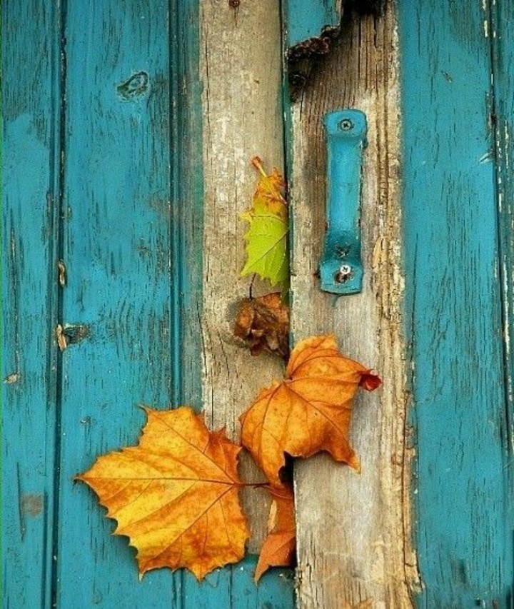Autumn