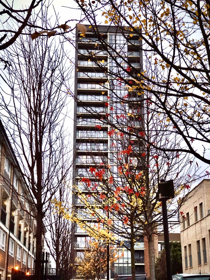 after fall