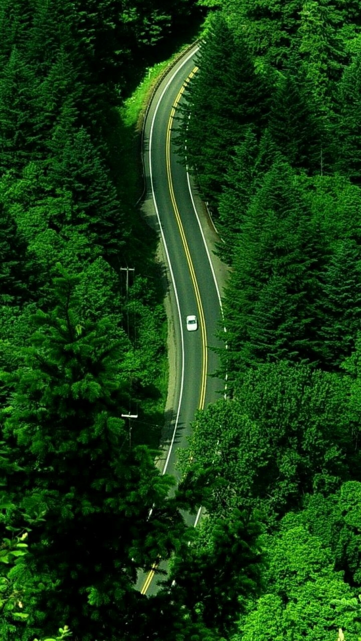 nature