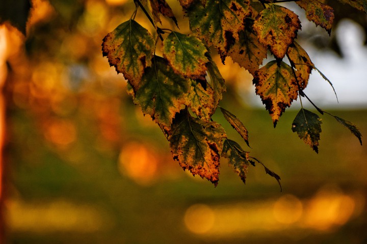 About to Fall