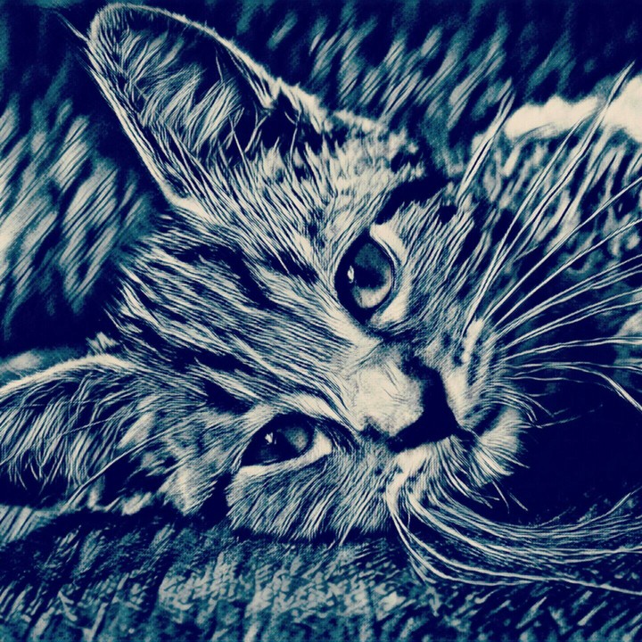 BlackingGray