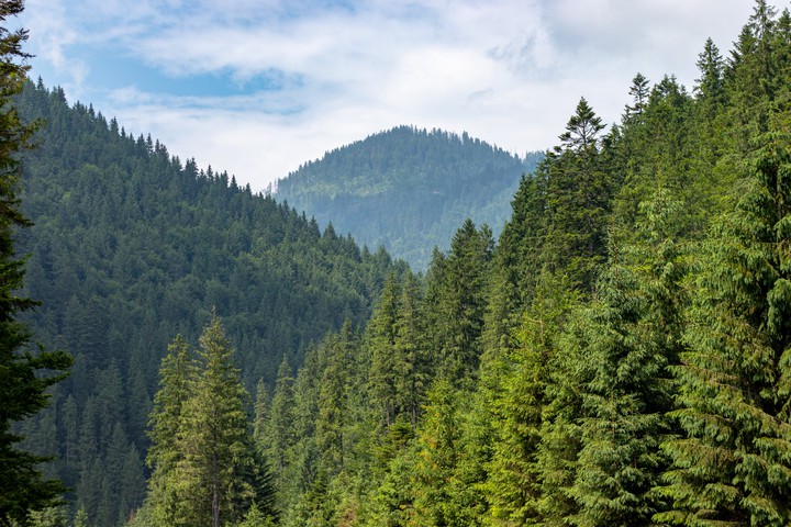 Ukrainian mountain's