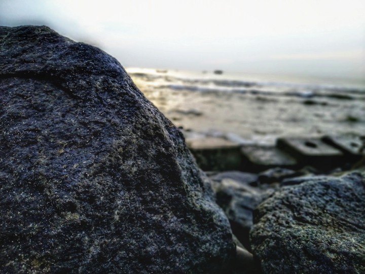 nature photography