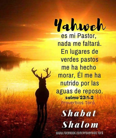Salmo 23:1-2