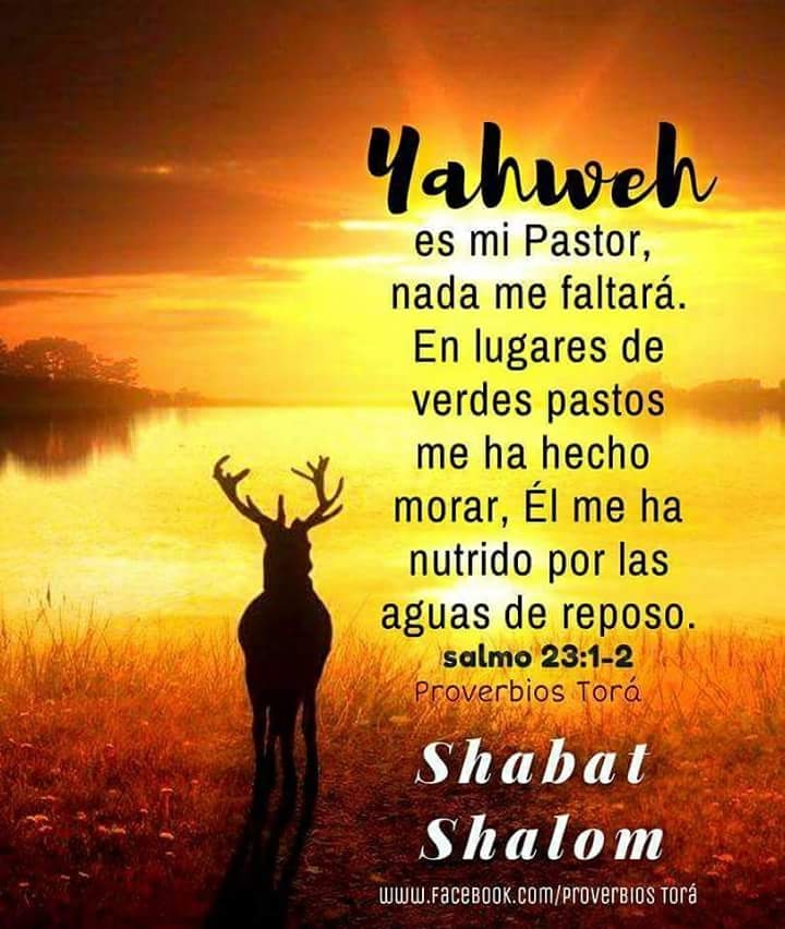 Salmo 23:1-2