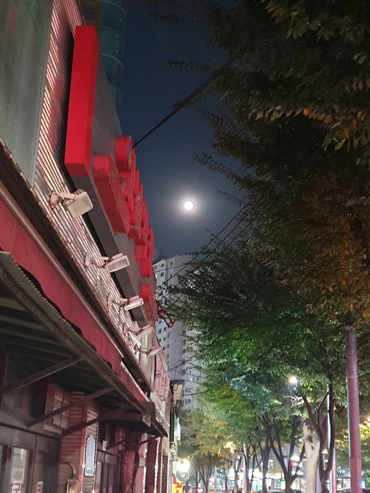 거리에서