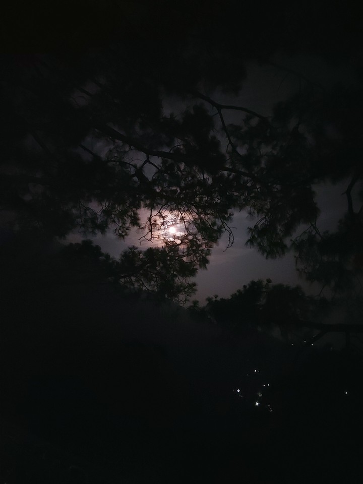 Moon Night