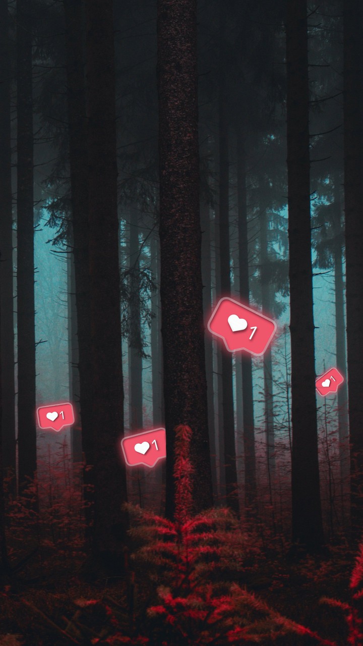 Notifications