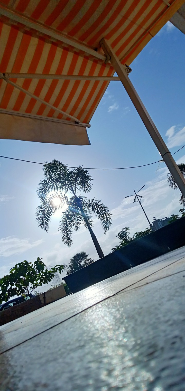 mobile photography 2