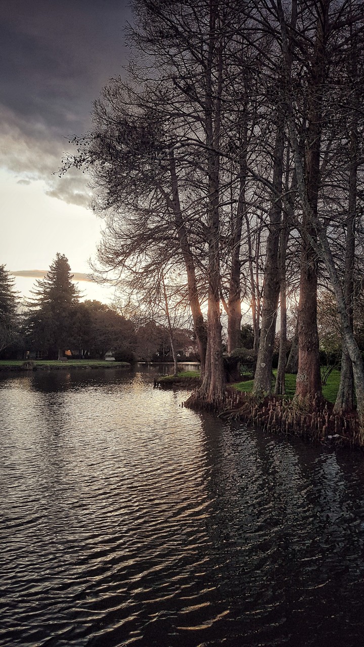 hdr