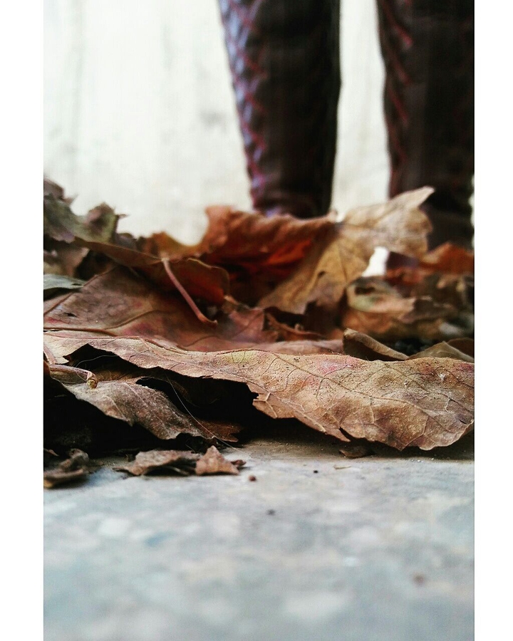 Autumn 