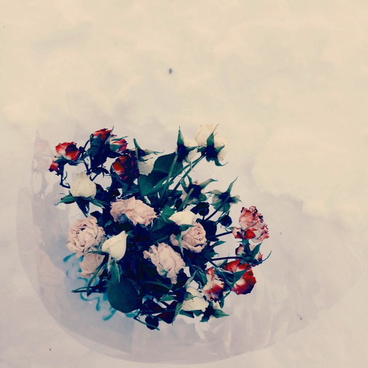 snow