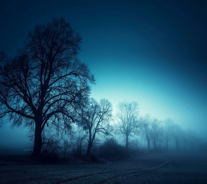 Foggy Morning