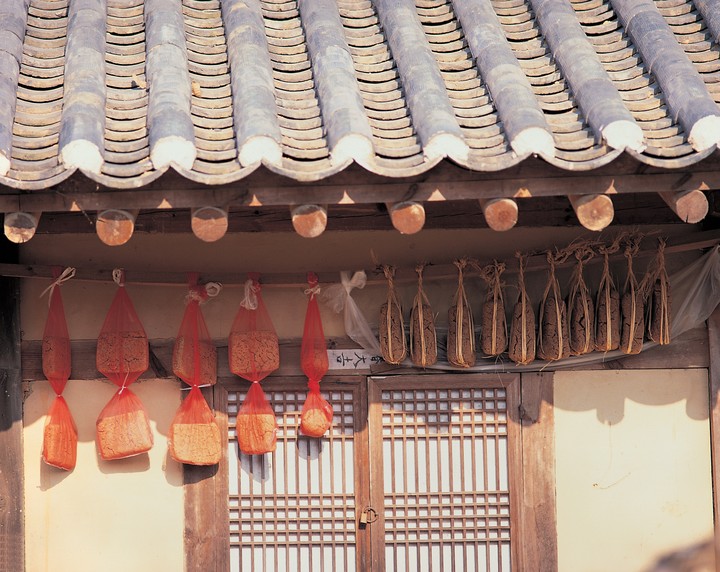 동양
