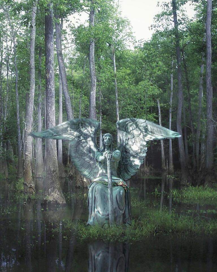 Angel