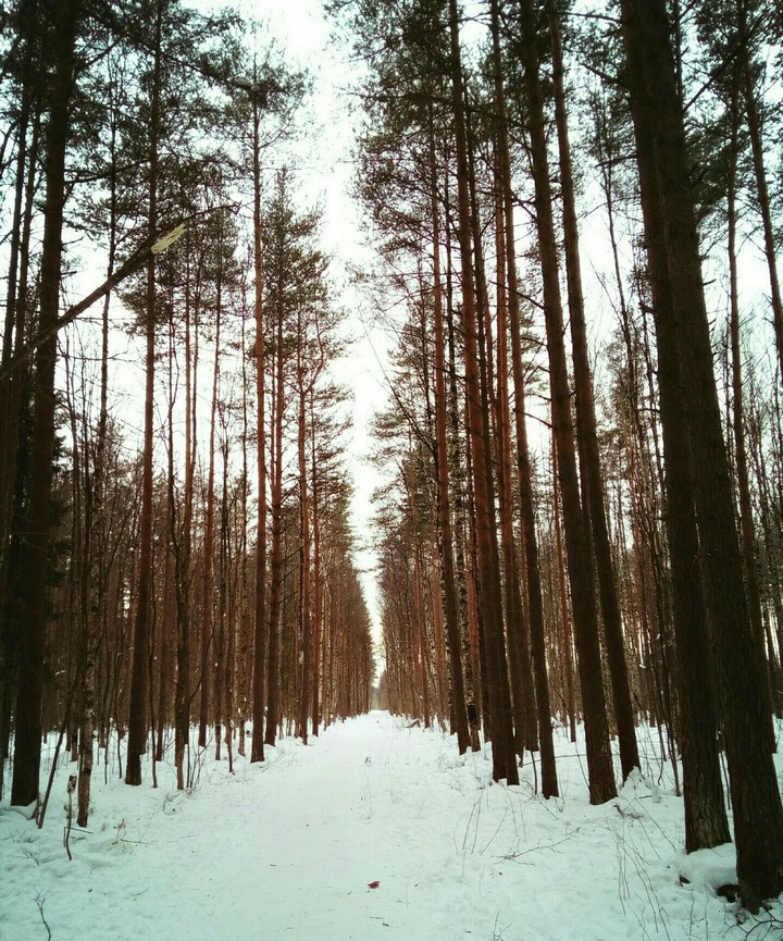 Snow