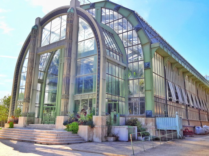 Serre de forêt tropicale