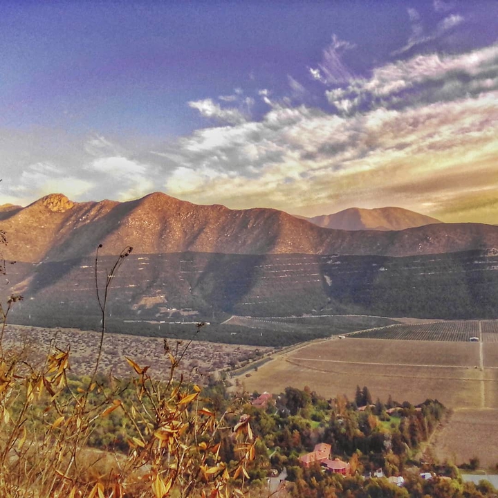 Valle