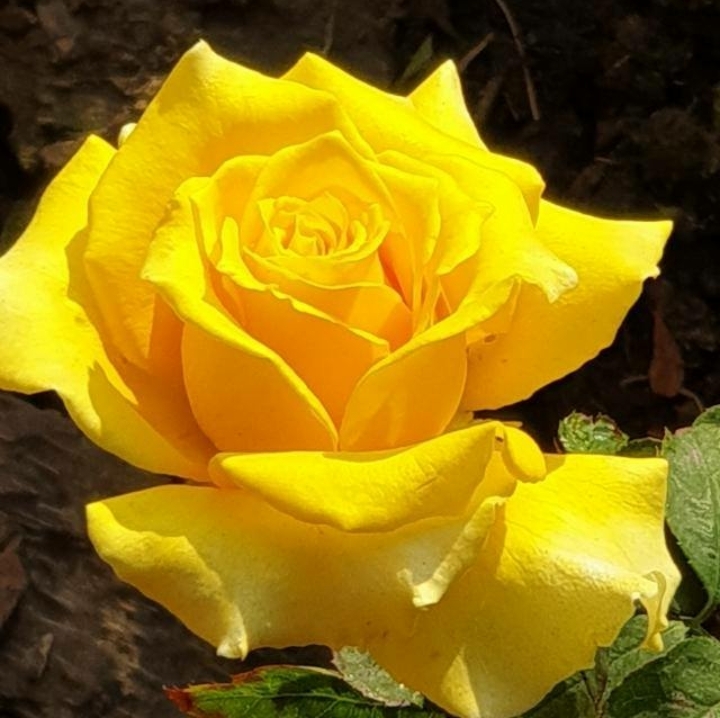 beutiful