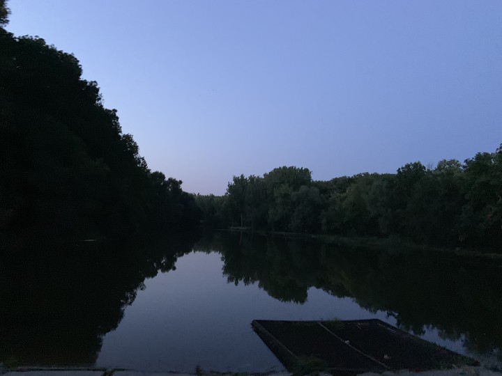 Pădure