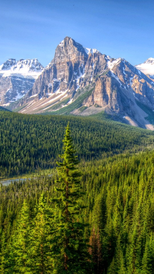 beauté de paysage