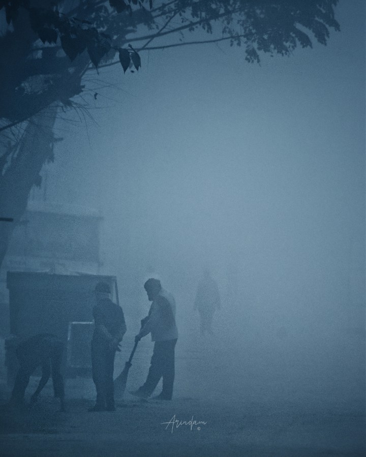 Foggy Morning 3