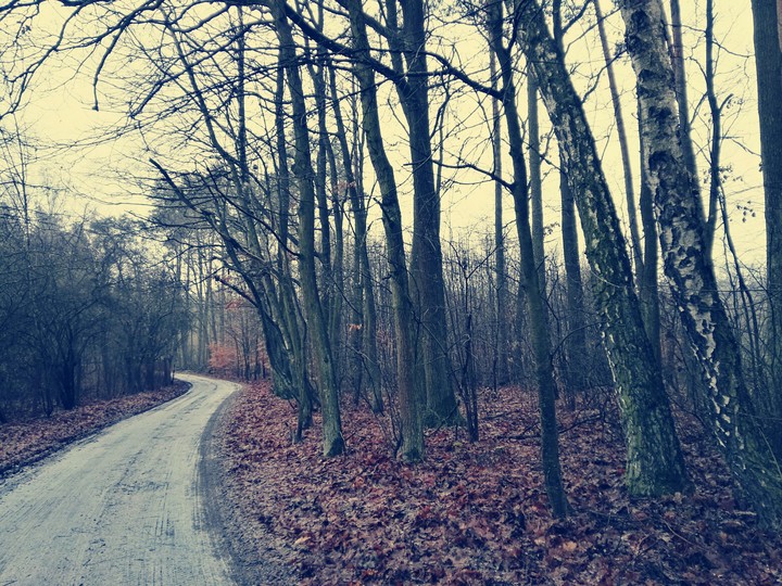 Road in the countryside