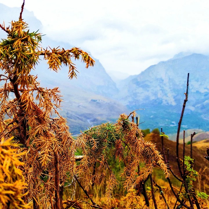 north osetia