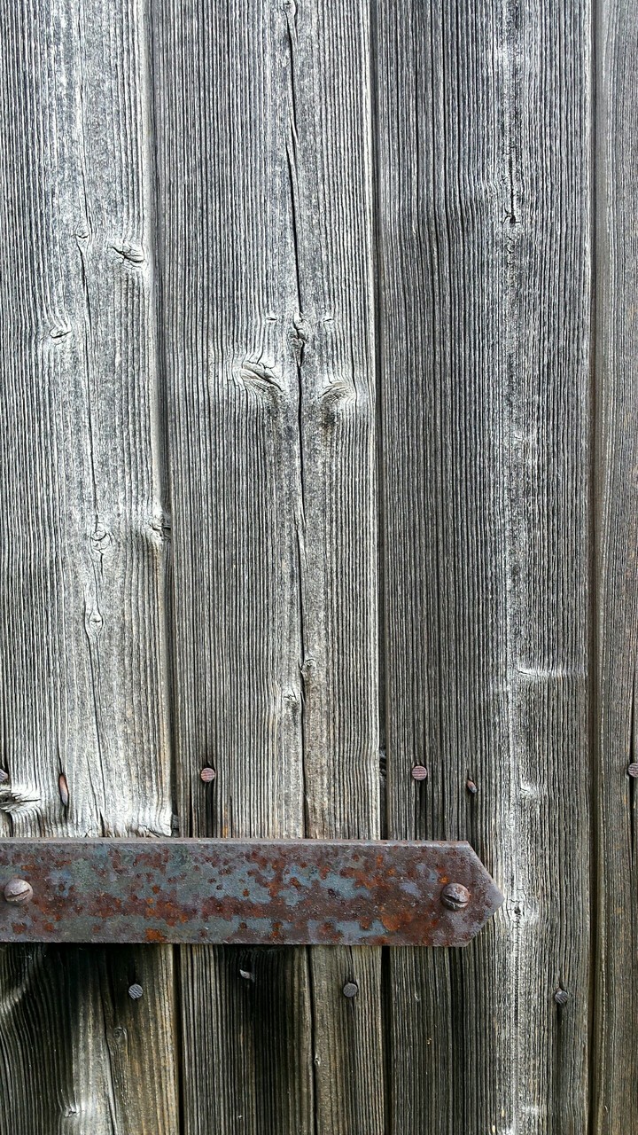 Wood 3