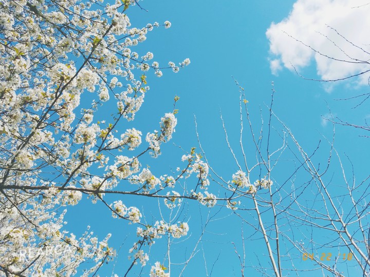 blue skies