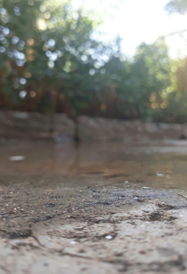 #floor #water