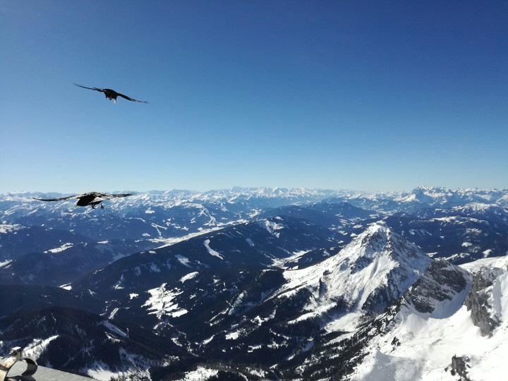 mountains