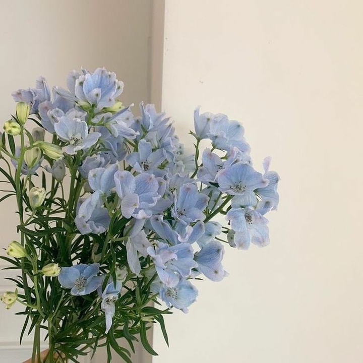 ♥