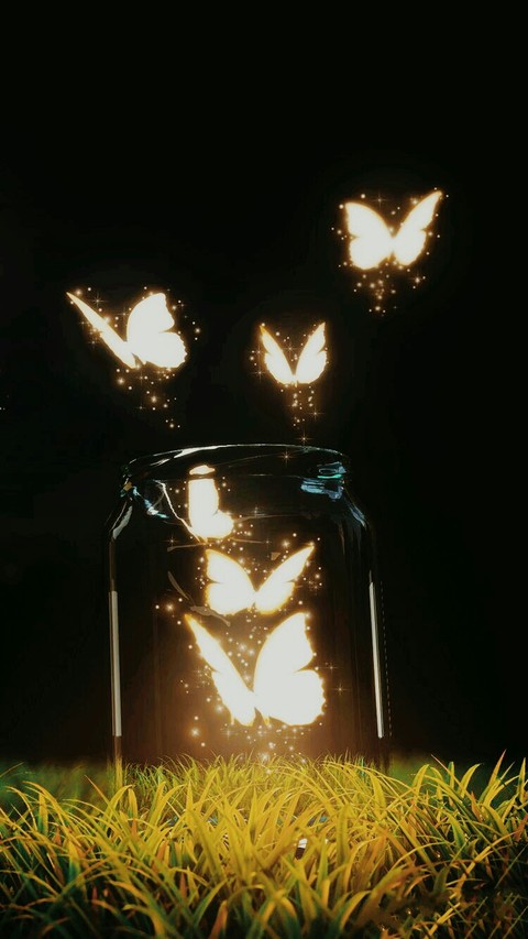 butterfly