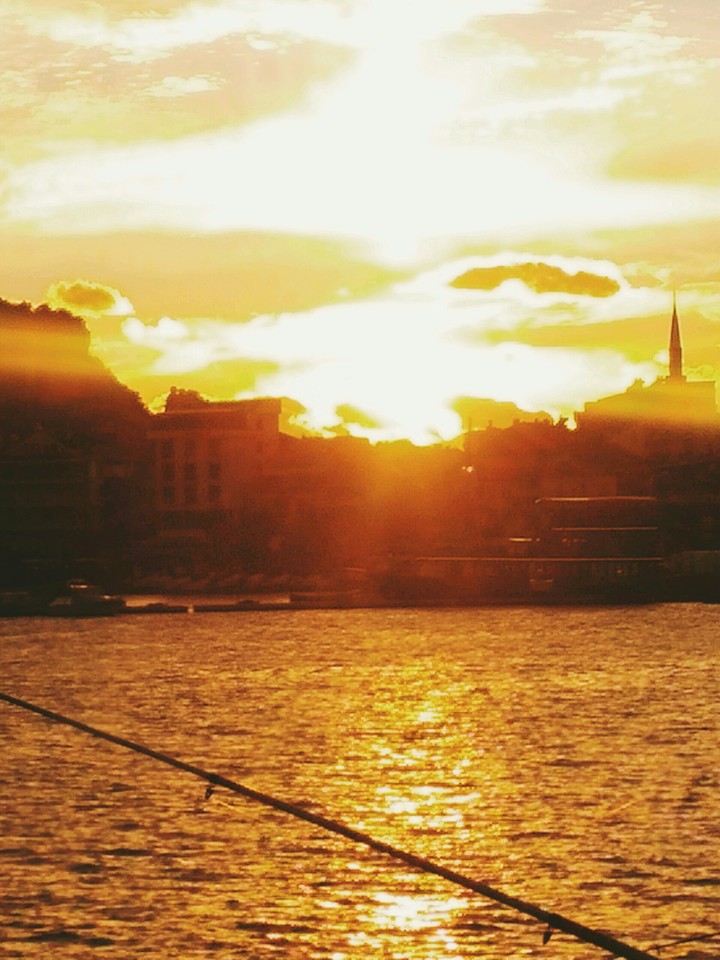 my city