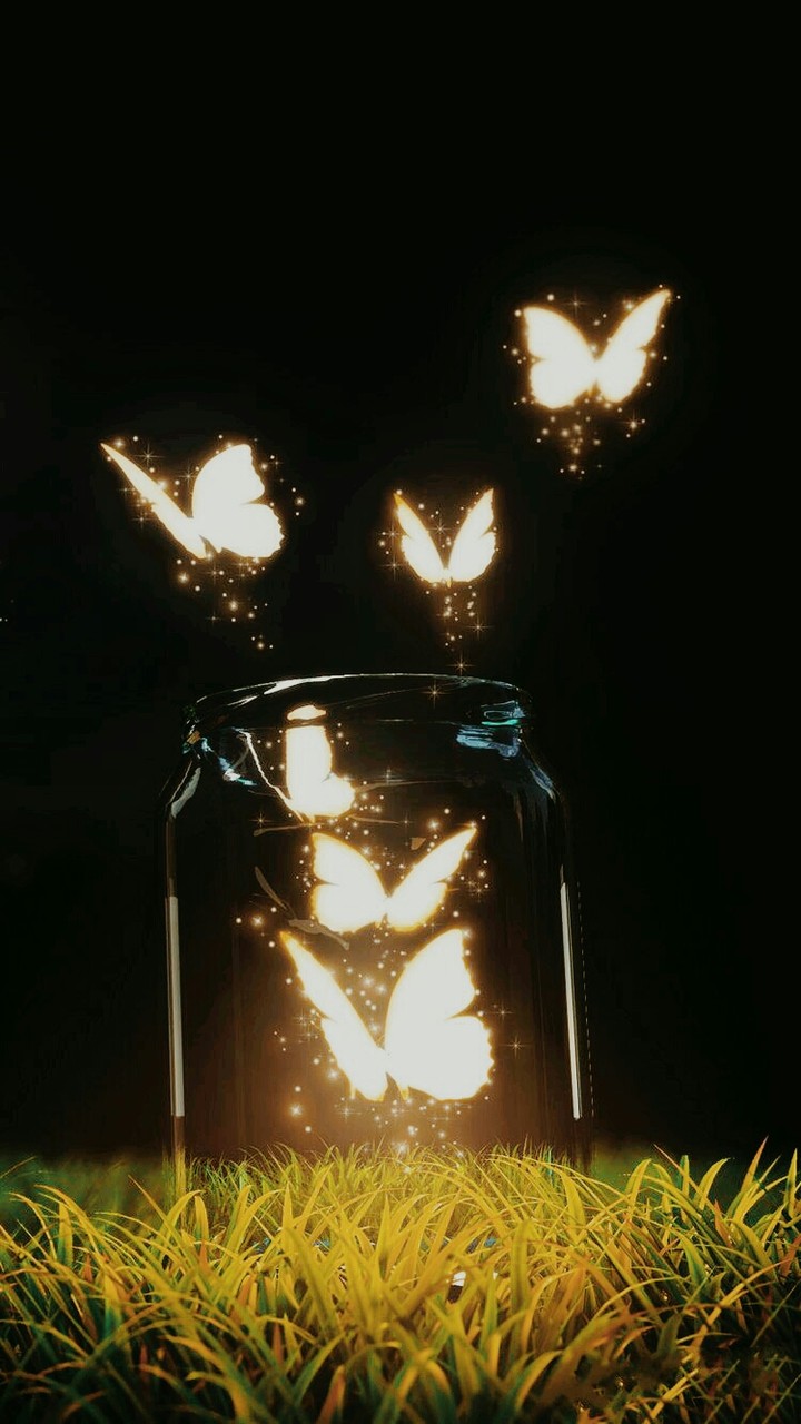 butterfly