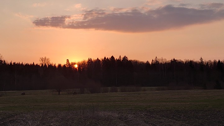 Sunrise