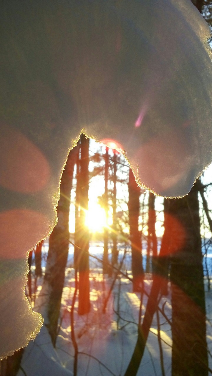 The sun☀