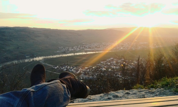 mit blick auf die mosel