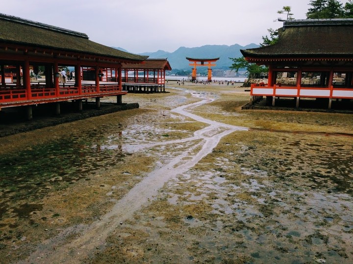 厳島神社 Itsukushima shrine
