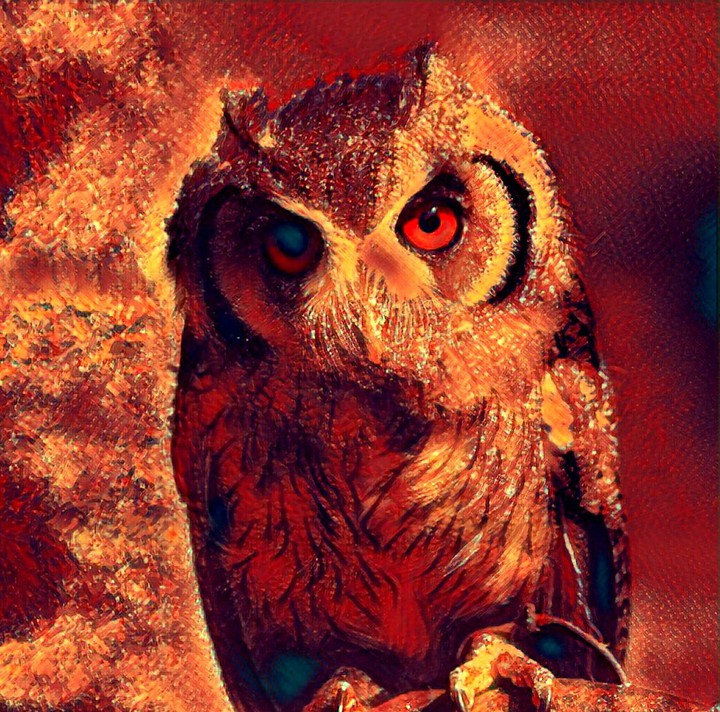 Night Owl